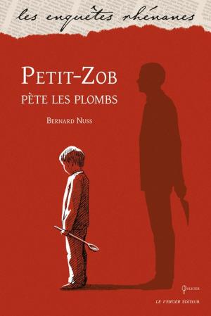 Cover of the book Petit-Zob pète les plombs by Grégoire Gauchet