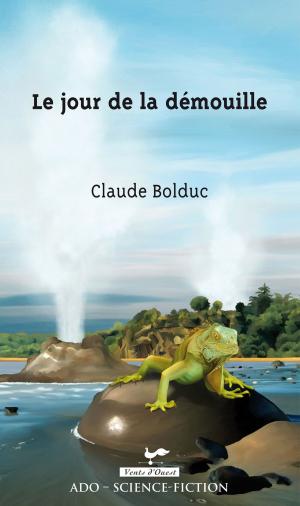Cover of the book Le jour de la démouille by Amélie Bibeau