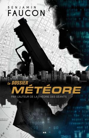 Cover of the book Le dossier météore by Dominic Bellavance