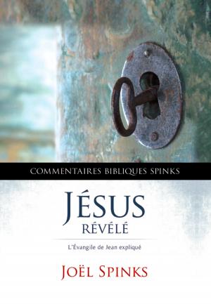 Cover of the book Jésus Révélé by Tony Egar