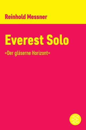 Book cover of Everest Solo