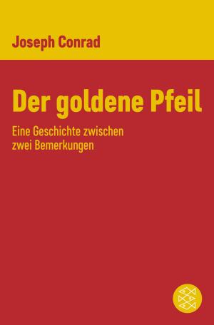 Cover of the book Der goldene Pfeil by Albert Ostermaier