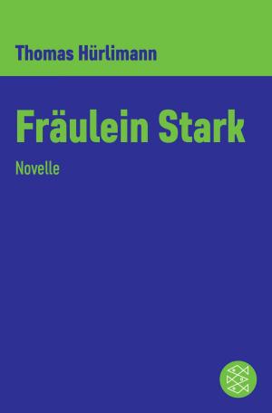 Cover of the book Fräulein Stark by Jörg Zipprick