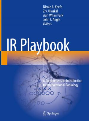 Cover of the book IR Playbook by Gerard O'Regan
