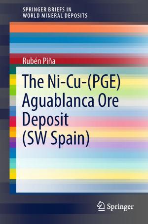 Cover of the book The Ni-Cu-(PGE) Aguablanca Ore Deposit (SW Spain) by Andrea Cangiani, Zhaonan Dong, Emmanuil H. Georgoulis, Paul Houston