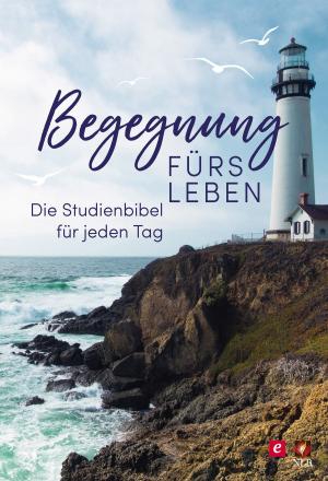 Cover of the book Begegnung fürs Leben, Motiv "Leuchtturm" by Dagmar Petrick