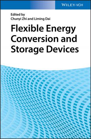 Cover of the book Flexible Energy Conversion and Storage Devices by Benoy Antony, Konstantin Boudnik, Cheryl Adams, Branky Shao, Cazen Lee, Kai Sasaki