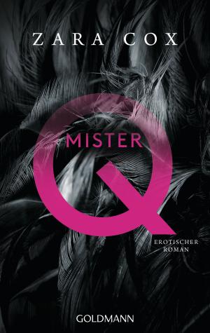 Cover of the book Mister Q by Hetty van de Rijt, Frans X. Plooij