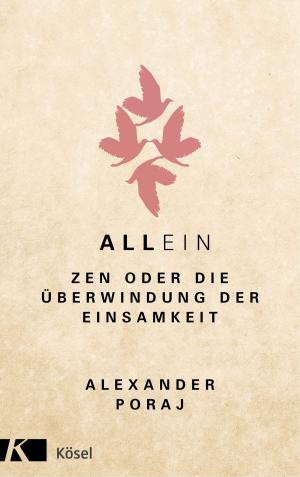 Cover of the book AllEin by Ludwig Koneberg, Silke Gramer-Rottler