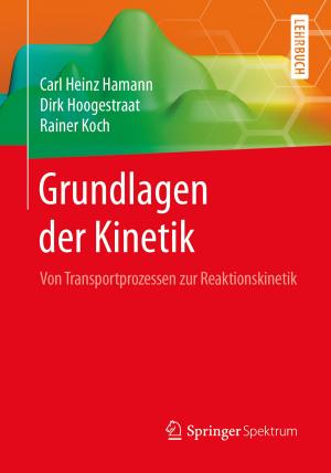 Cover of the book Grundlagen der Kinetik by 