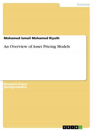 Cover of the book An Overview of Asset Pricing Models by Silw Yna