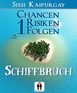 Cover of the book Chancen, Risiken, Folgen 1 by Alfred J. Schindler