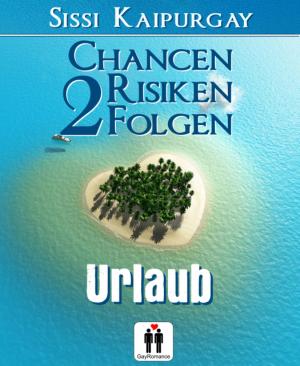 bigCover of the book Chancen, Risiken, Folgen 2 by 