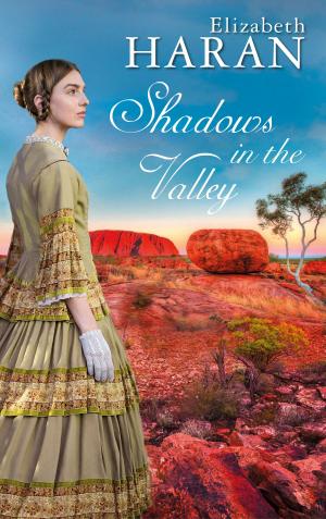 Cover of the book Shadows in the Valley by Andreas Kufsteiner