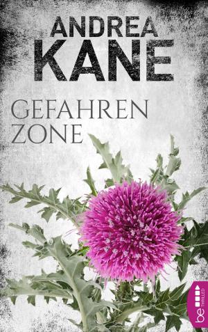 Cover of the book Gefahrenzone by Georgette Heyer