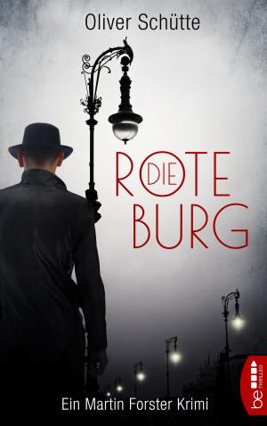 Cover of the book Die Rote Burg by Barbara Goldstein