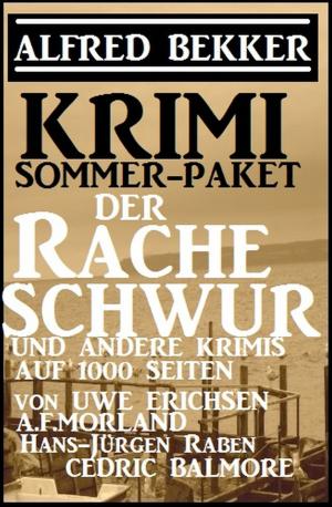 Cover of the book Krimi Sommer Paket 2018: Der Racheschwur und andere Krimis auf 1000 Seiten by Hendrik M. Bekker, Alfred Bekker