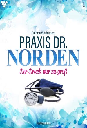 Book cover of Praxis Dr. Norden 1 – Arztroman