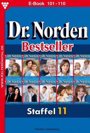 Book cover of Dr. Norden Bestseller Staffel 11 – Arztroman