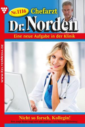 Cover of the book Chefarzt Dr. Norden 1116 – Arztroman by Susanne Svanberg