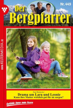 Cover of the book Der Bergpfarrer 449 – Heimatroman by Britta Winckler