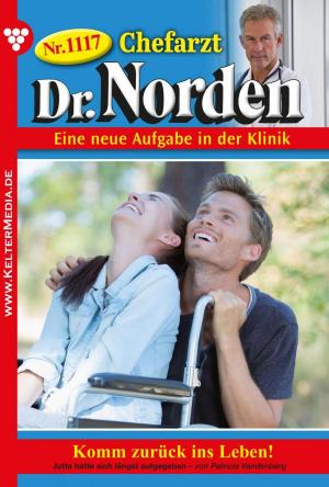Cover of the book Chefarzt Dr. Norden 1117 – Arztroman by Sissi Merz