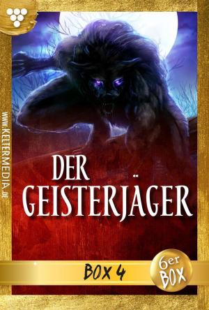 Book cover of Der Geisterjäger Jubiläumsbox 4 – Gruselroman