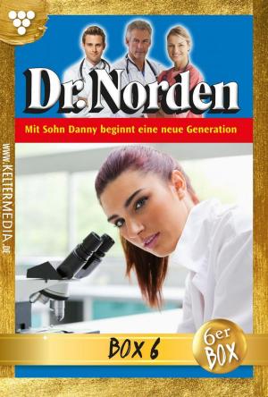 Cover of the book Dr. Norden Jubiläumsbox 6 – Arztroman by Patricia Vandenberg