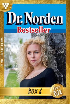 Cover of the book Dr. Norden Bestseller Jubiläumsbox 6 – Arztroman by Sissi Merz