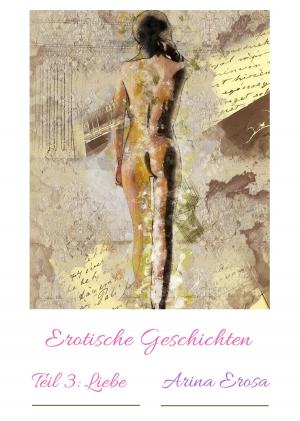 Cover of the book Erotische Geschichten Teil 3: Liebe by Tim Parotta