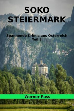 Cover of the book SOKO Steiermark by Dr. Meinhard Mang