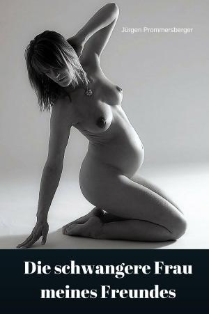 Cover of the book Die schwangere Frau meines Freundes by Sabine Gräfin von Rothenfels