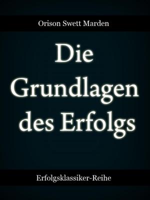 Cover of the book Die Grundlagen des Erfolgs by Horst Ludwig