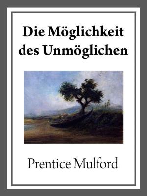 Cover of the book Die Möglichkeit des Unmöglichen by Jürgen Prommersberger