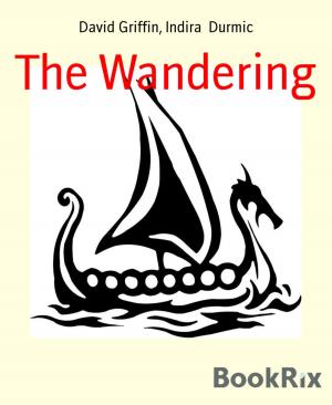 Cover of the book The Wandering by Peter Jalesh