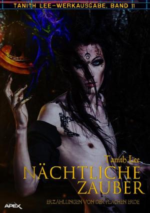Book cover of NÄCHTLICHE ZAUBER - ERZÄHLUNGEN VON DER FLACHEN ERDE