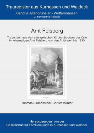 Cover of the book Amt Felsberg by Jutta Schütz