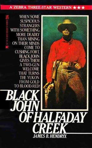 Cover of the book Black John of Halfaday Creek by Hugh Lofting