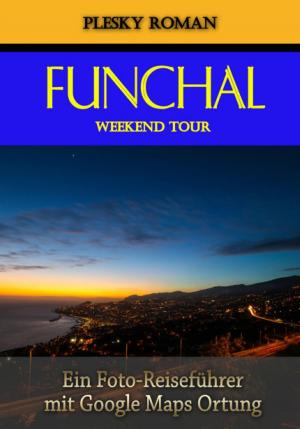 Cover of the book Funchal Weekend Tour by Louis Weinert-Wilton