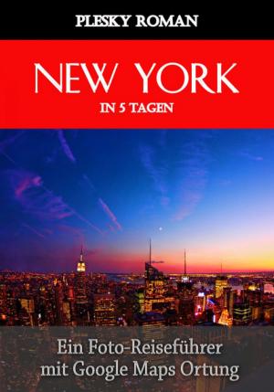 Cover of the book New York in 5 Tagen by Elsbeth Weckerle