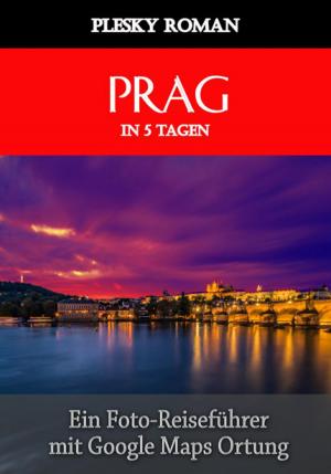 Cover of the book Prag in 5 Tagen by Ernst Seraphim