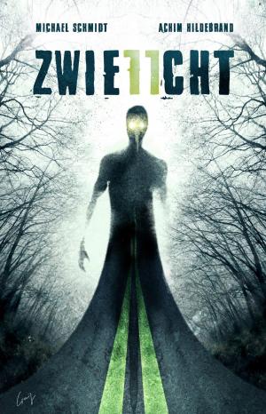 Cover of the book Zwielicht 11 by DIE ZEIT