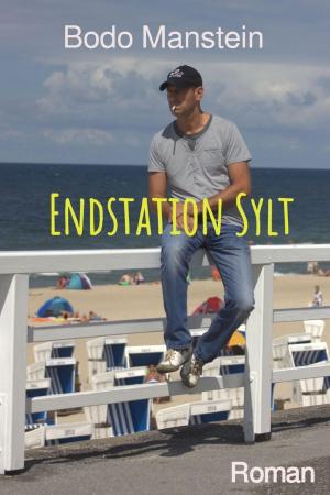 Book cover of Endstation Sylt