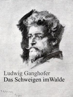 Cover of the book Das Schweigen im Walde by Pierre André Martin