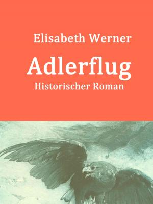 Book cover of Adlerflug