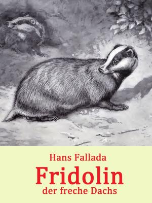 Cover of the book Fridolin, der freche Dachs by Jules Verne