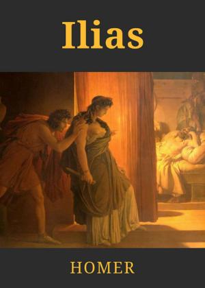 Cover of the book Ilias by Martin Niemann