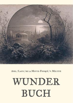 Book cover of Wunderbuch - Drei Bände in einem Band