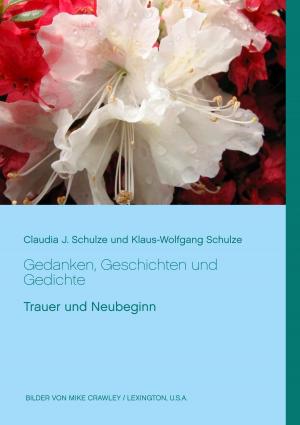 Cover of the book Gedanken, Geschichten und Gedichte by Bernd Guido Weber