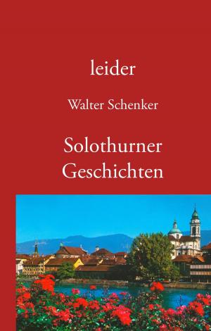 Cover of the book leider/Solothurner Geschichten by Johanna Handschmann